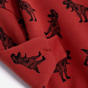 Παιδικό Σετ Φόρμα / Φούτερ DINO Αγόρι