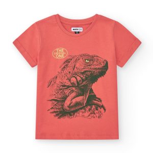 Παιδικό T-shirt με στάμπα Αγόρι NATH by Tuc Tuc